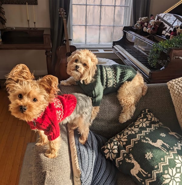 Who am I writing for?